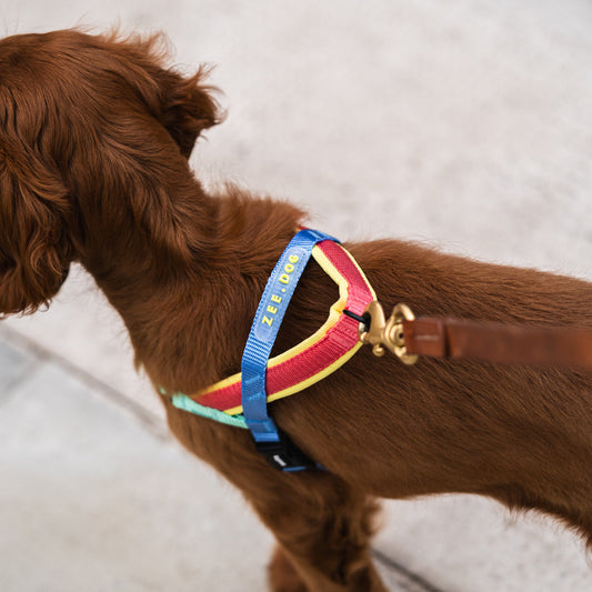 Zee.Dog Mellow SofterWalk Harness