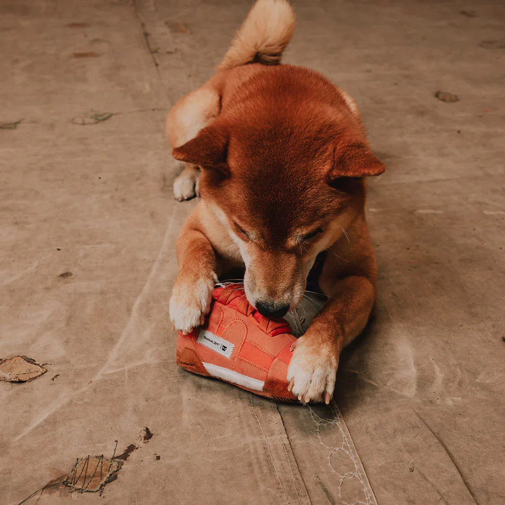 Reebok X Zee.Dog The Workout Plus Plush Dog Toy - Small