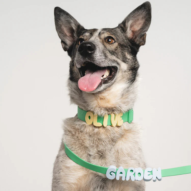 Springland Dog Collar Charms