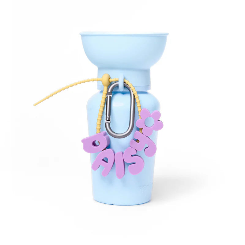 Springland Charms Starter Bundle - Skye Bue - est 50 names