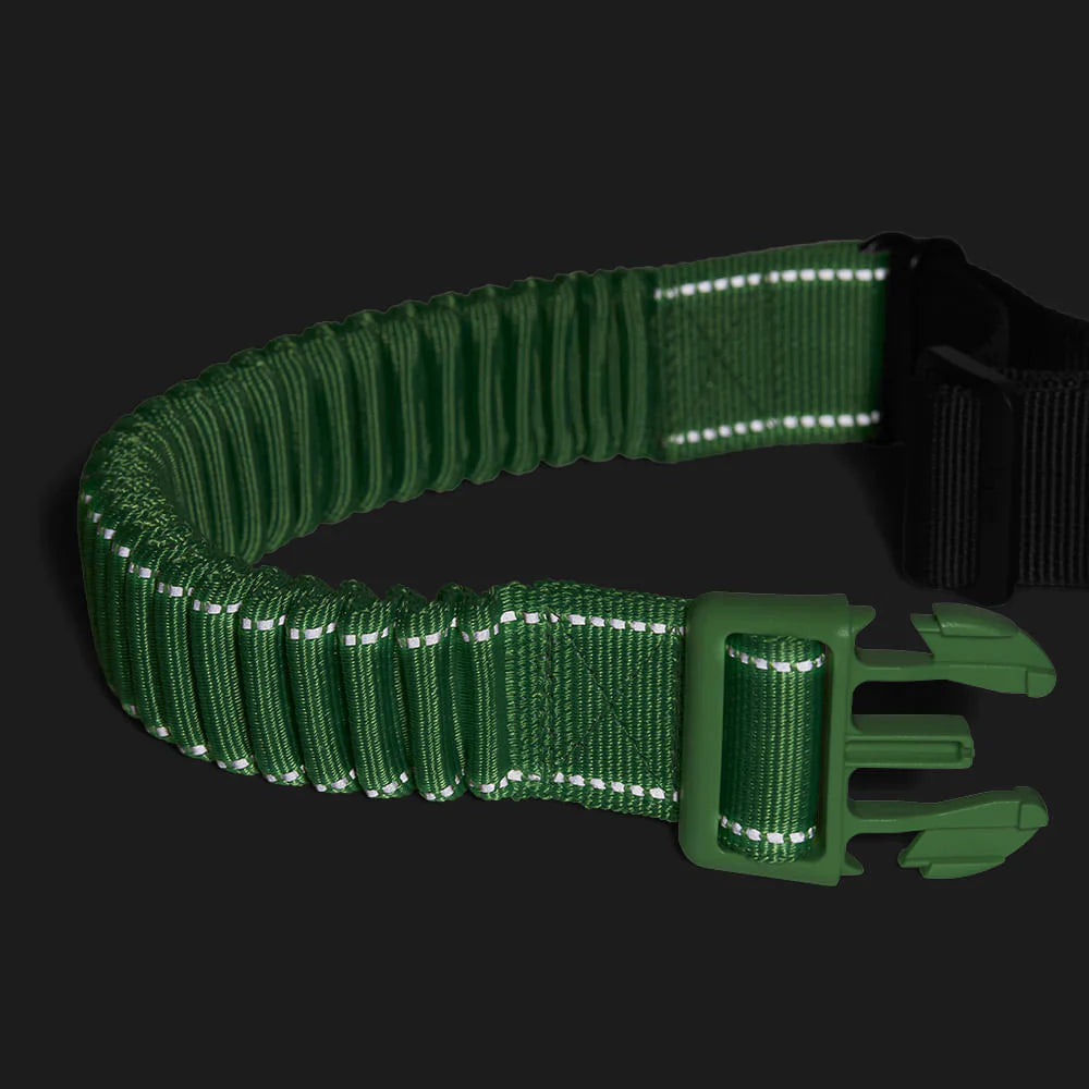 Zee.Dog Zee.Run Dog Running Belt