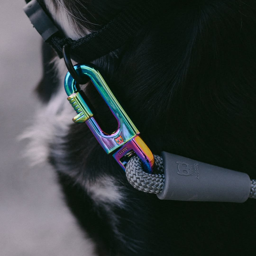 Zee.Dog Hands-Free Dog Lead - Titanium