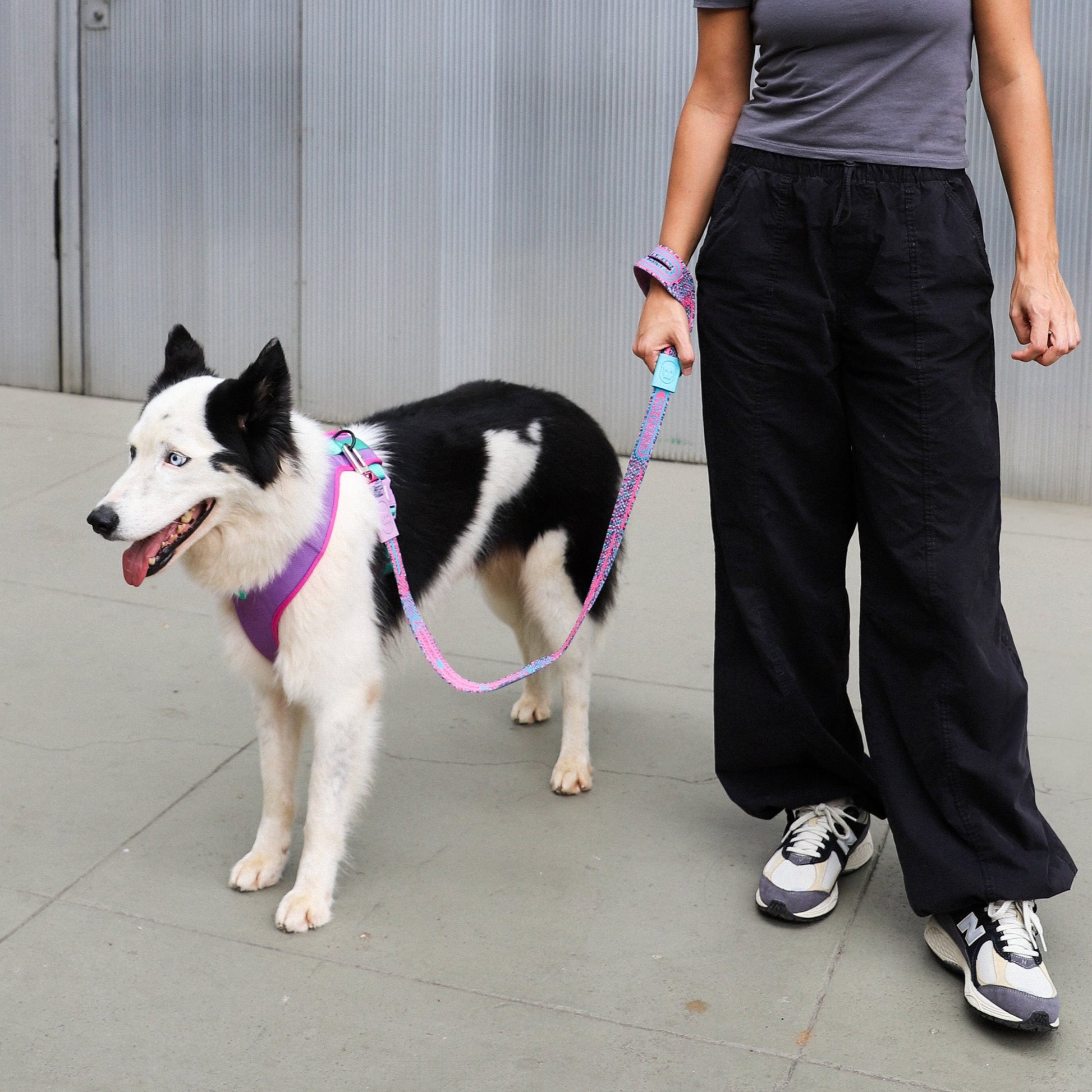 woman holding the Candy NitLeash attached to white and black dog 