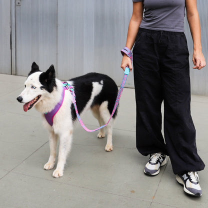woman holding the Candy NitLeash attached to white and black dog 
