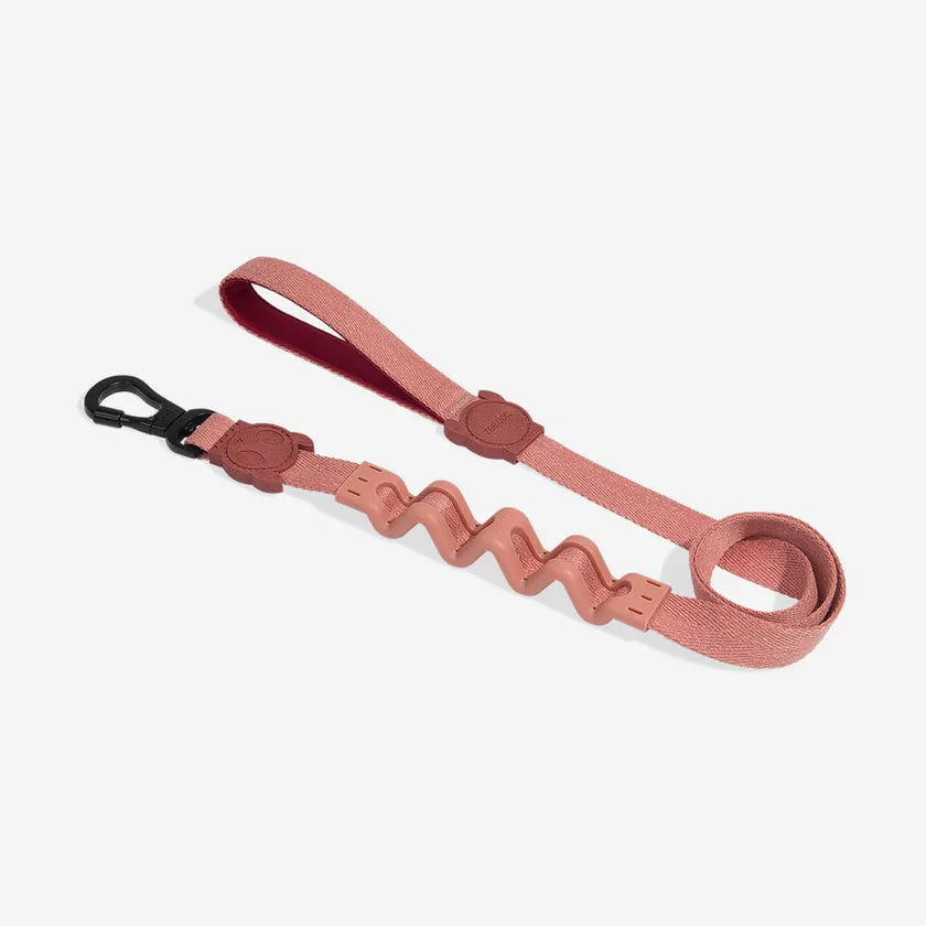 Zee.Dog Naturals Ruff Lead - Canyon