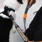 Chron nitleash being held and attached to black and white dog's harness 