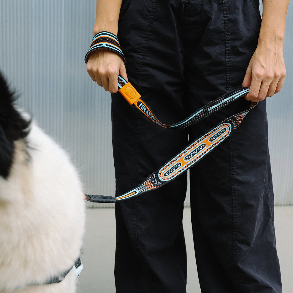 Chron nitleash being held by a woman with a dog