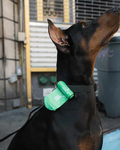 Springland Dog Poop Bag Dispenser Holder + Roll