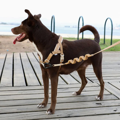 Zee.Dog Naturals SofterWalk Dog Harness - Dune