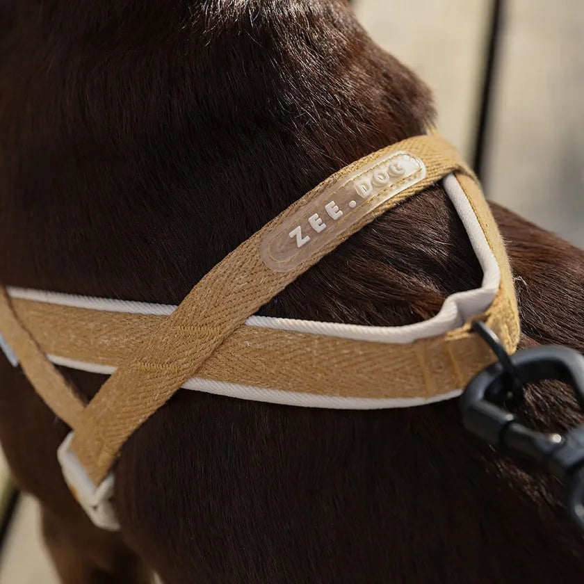 Zee.Dog Naturals SofterWalk Dog Harness - Dune