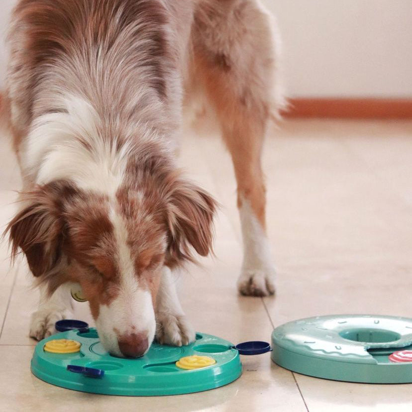 SmartyPaws Puzzler 3 in 1 Puzzle Game and Slow Feeder for Dogs