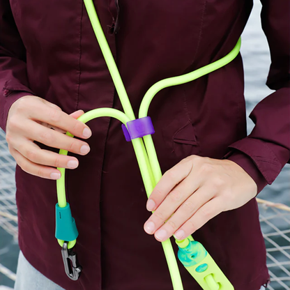 Person holding a colorful dog leash with a purple clip against a blurred background