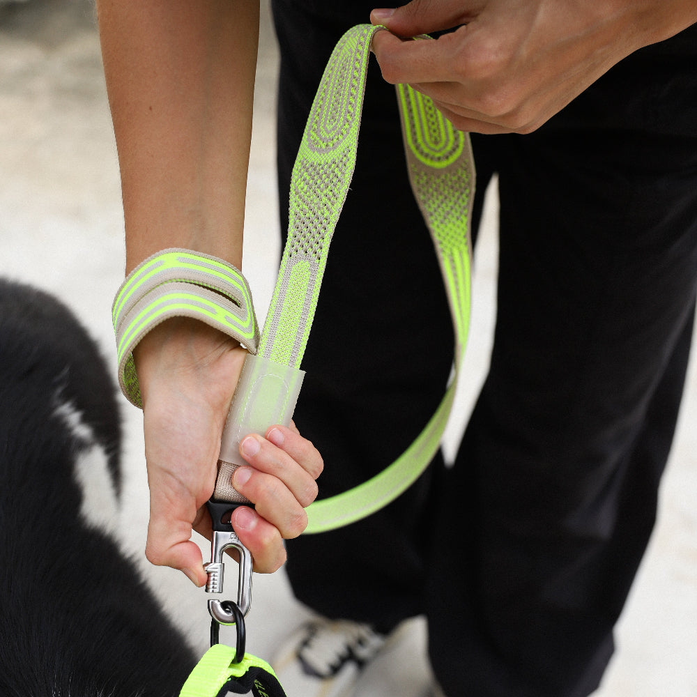 Gluten NitLeash being held by a woman attaching clip to a dog's harness