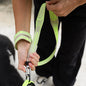 Gluten NitLeash being held by a woman attaching clip to a dog's harness