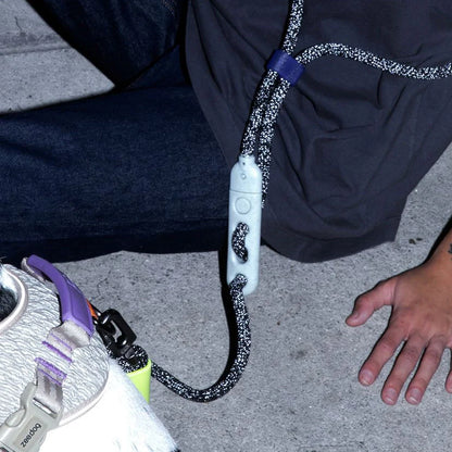 Zee.Dog Hands-Free Dog Lead - NOX