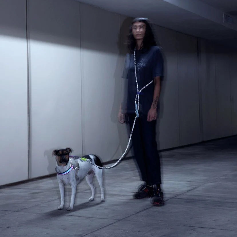 Zee.Dog Hands-Free Dog Lead - NOX