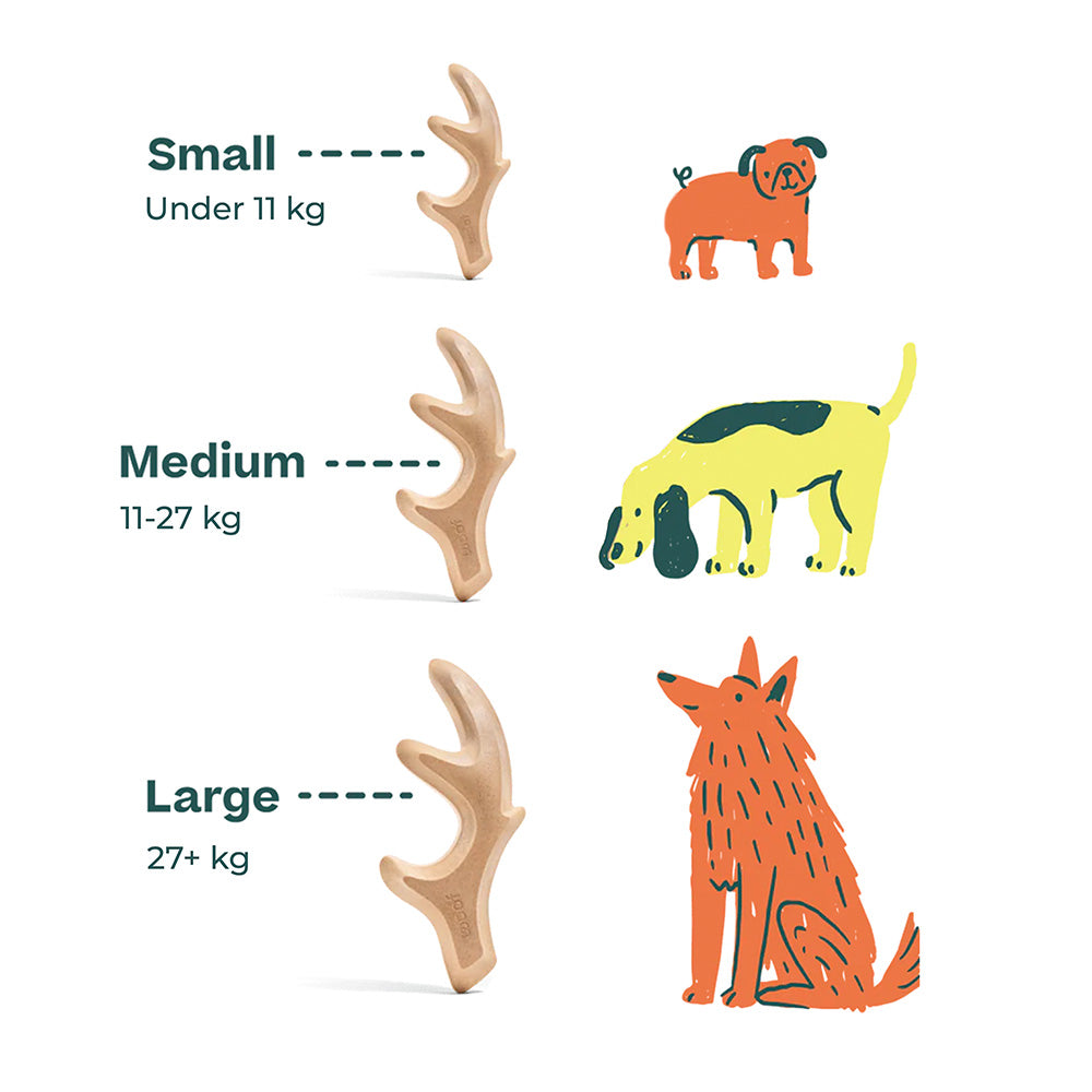 size infographic