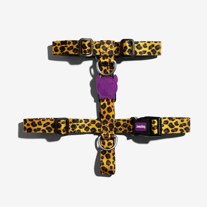 Zee.Dog Honey H Dog Harness