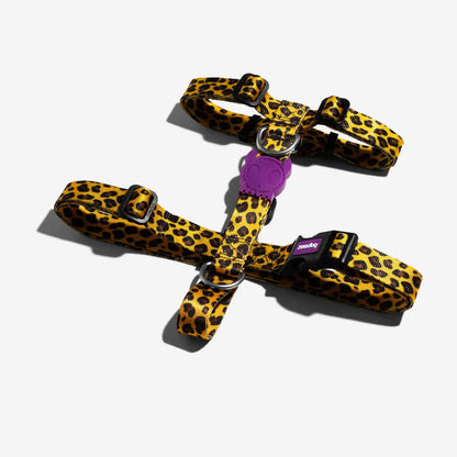 Zee.Dog Honey H Dog Harness