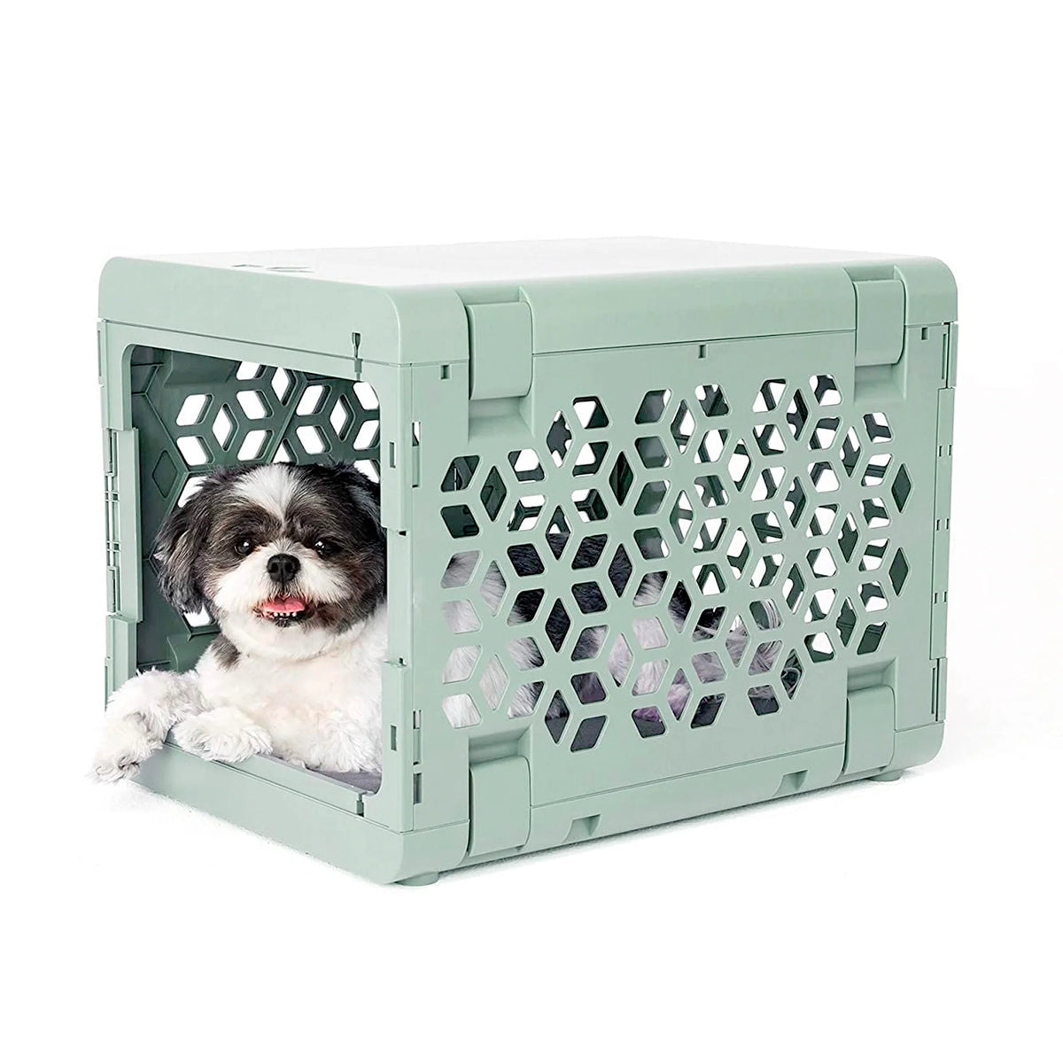 KindTail Pawd® Modern Light Green Collapsible Plastic Dog & Pet Crate