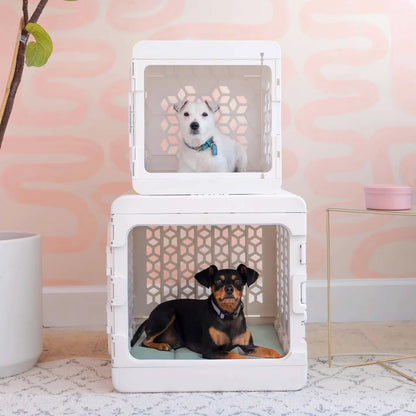 KindTail Pawd® Modern White Collapsible Plastic Dog & Pet Crate