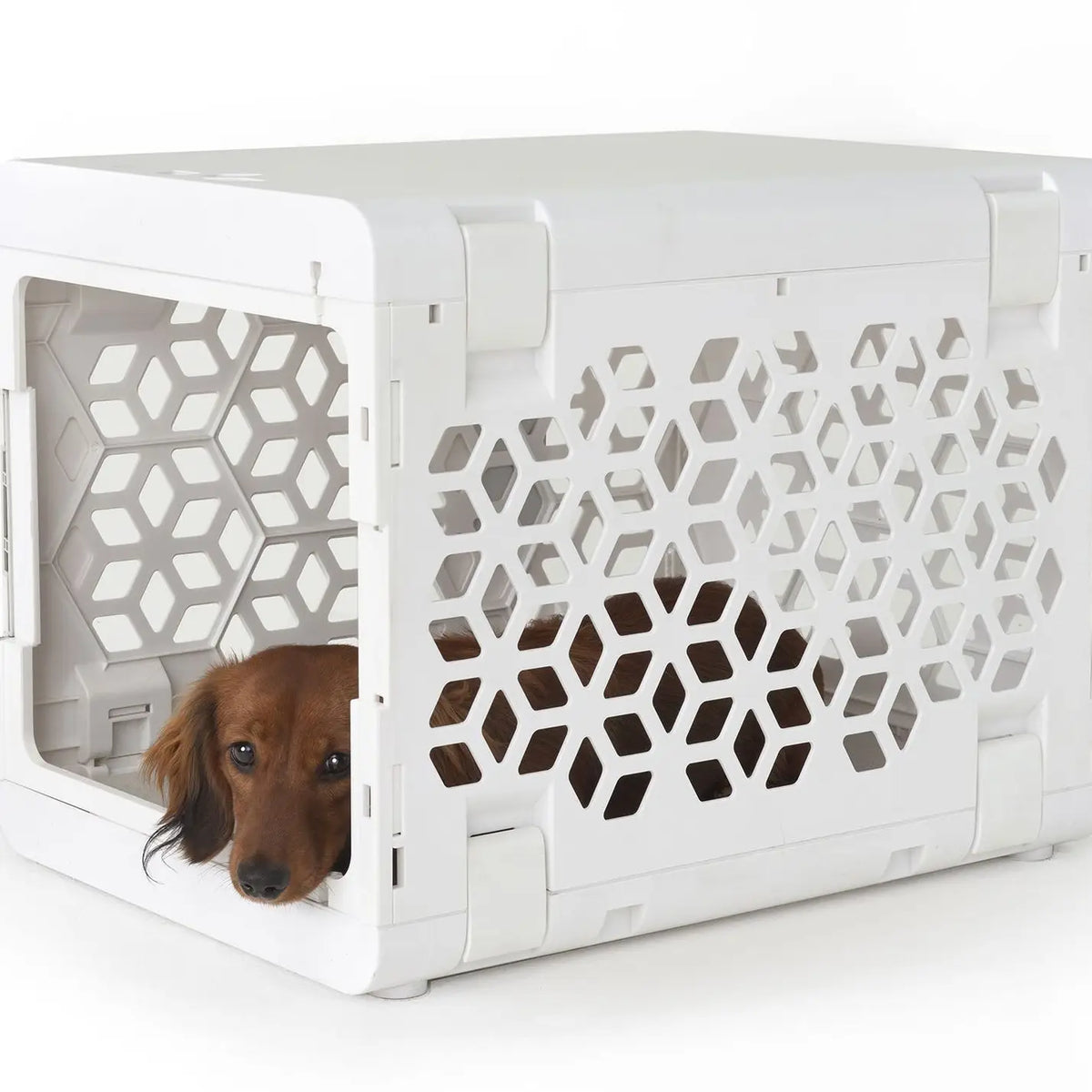 KindTail Pawd® Modern White Collapsible Plastic Dog & Pet Crate