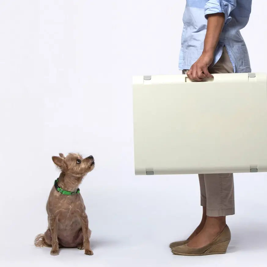 KindTail Pawd® Modern White Collapsible Plastic Dog & Pet Crate