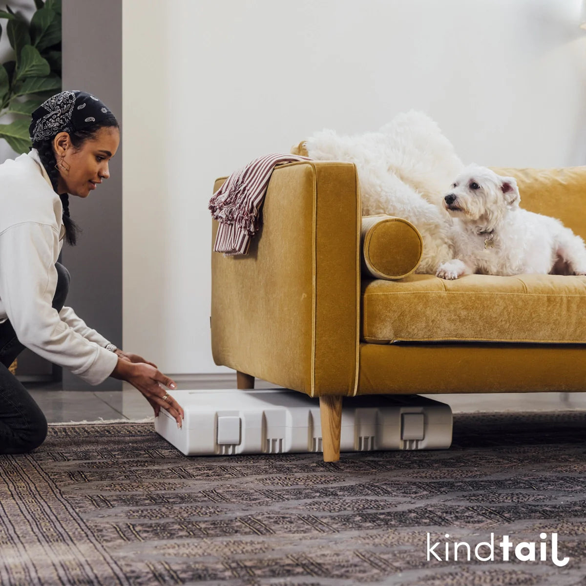 KindTail Pawd® Modern Light Green Collapsible Plastic Dog & Pet Crate