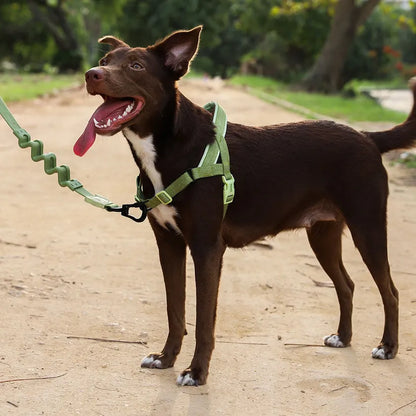 Zee.Dog Naturals Softer-Walk Dog Harness - Moss