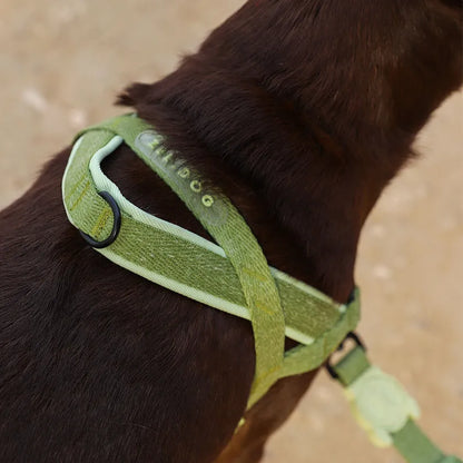 Zee.Dog Naturals Softer-Walk Dog Harness - Moss