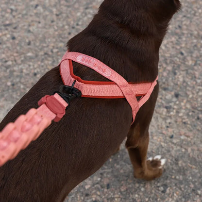Zee.Dog Naturals SofterWalk Dog Harness - Canyon
