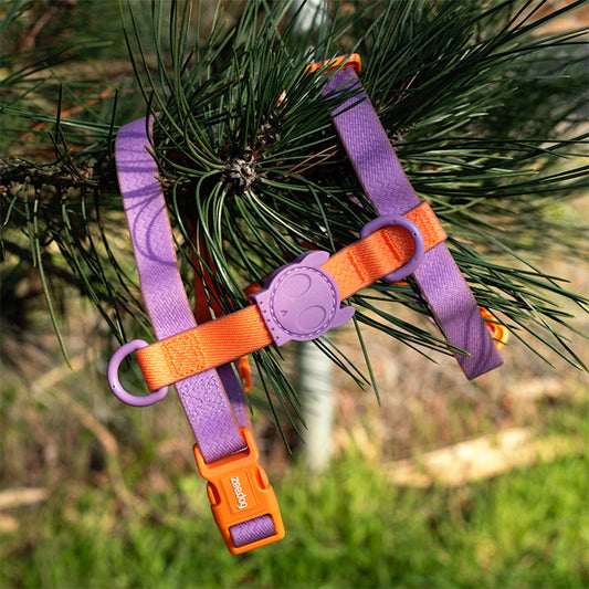 Zee.Dog Neopro Iris Dog H-Harness