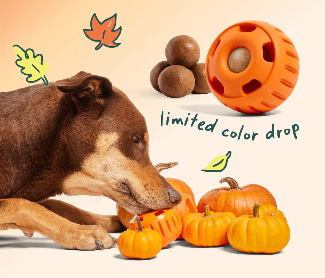 Woof Orange Pupsicle Toy