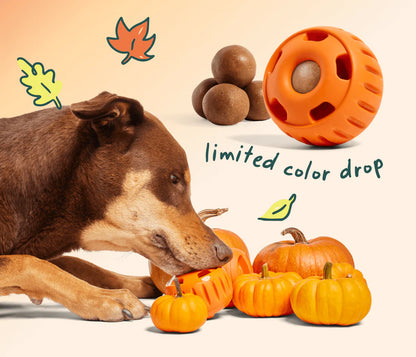 Woof Orange Pupsicle Toy