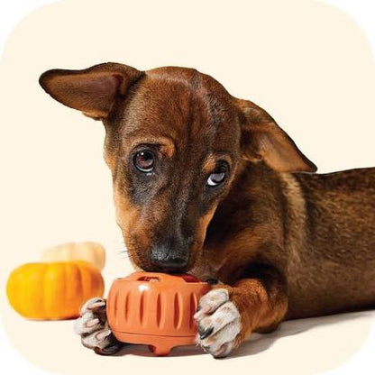 Woof Orange Pupsicle Toy