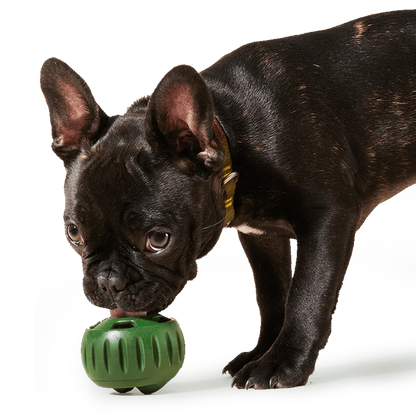 Woof Pupsicle Toy Treat Tray