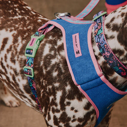 Reebok X Zee.Dog Adjustable Air Mesh Harness for Dogs - Aerobic