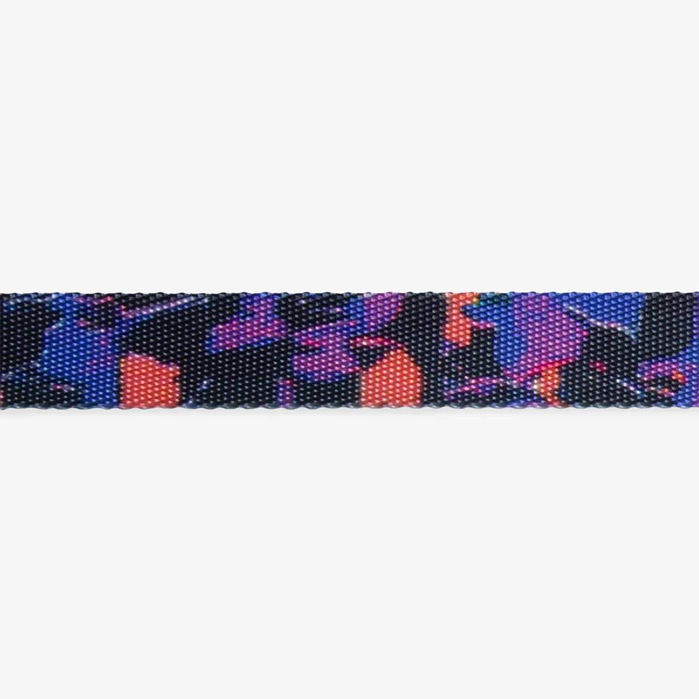 Reebok X Zee.Dog Court Dog Collar