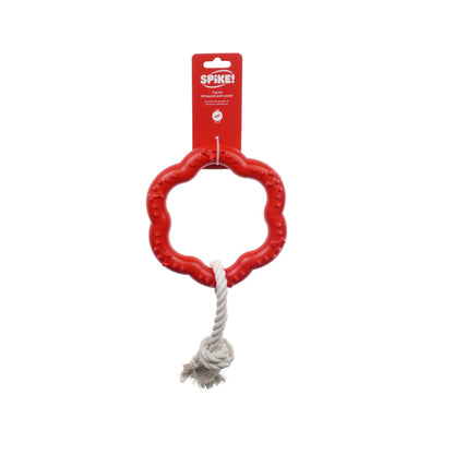 Red dog toy with a rope on a white background