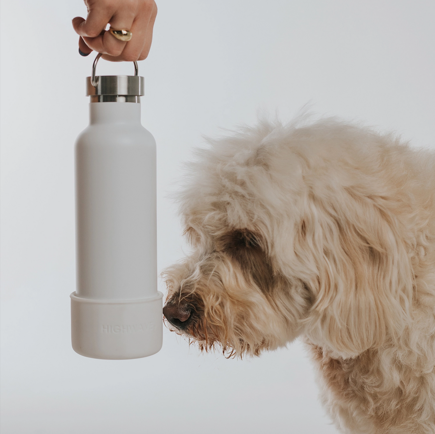 Dog sniffing the "Dog & Me" Reusable Insulated Bottle on a white background. The bottle features a silicone cup that can be used as a dog water bowl and has a brushed chrome top with handle.