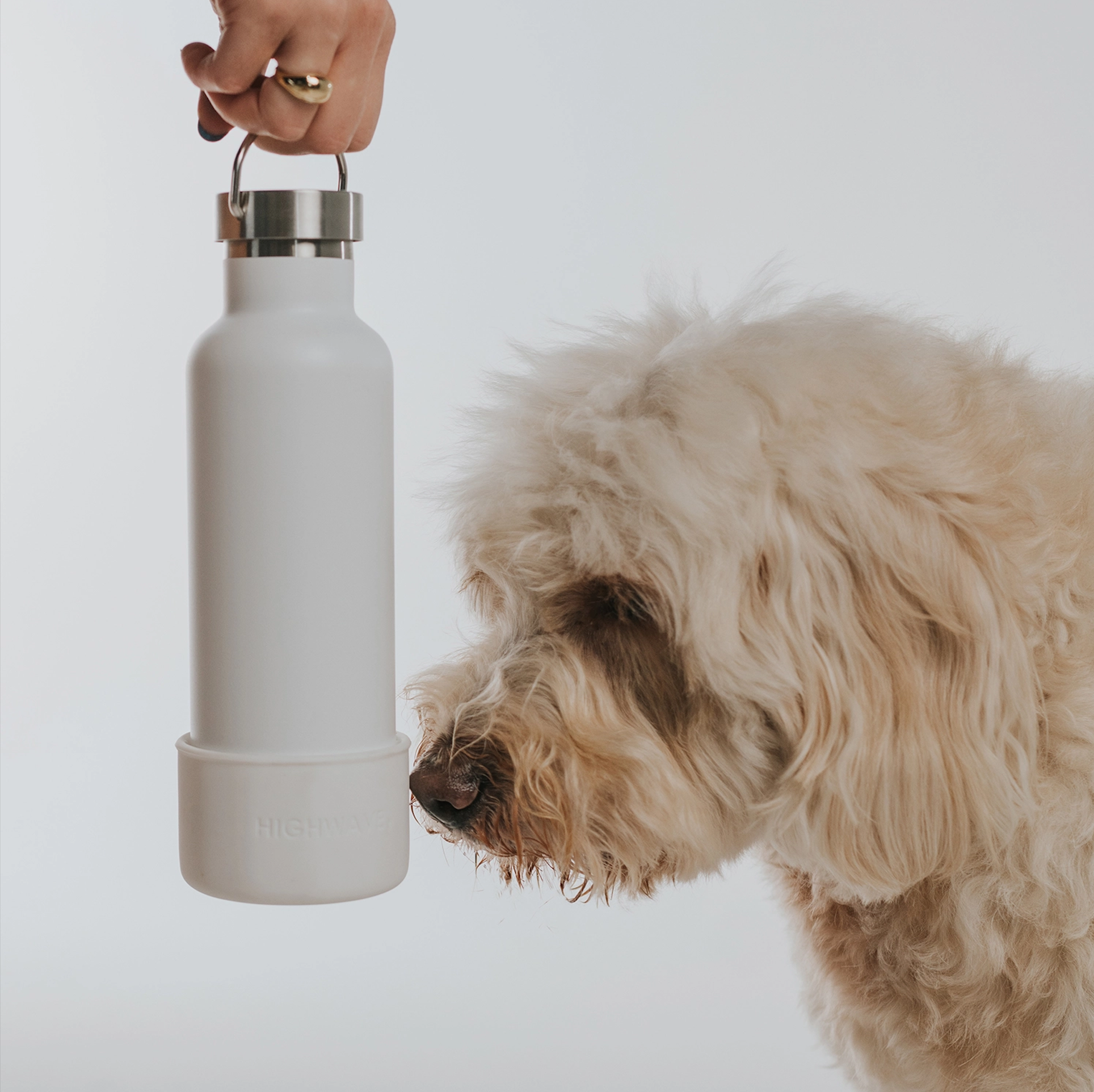 Dog sniffing the "Dog & Me" Reusable Insulated Bottle on a white background. The bottle features a silicone cup that can be used as a dog water bowl and has a brushed chrome top with handle.