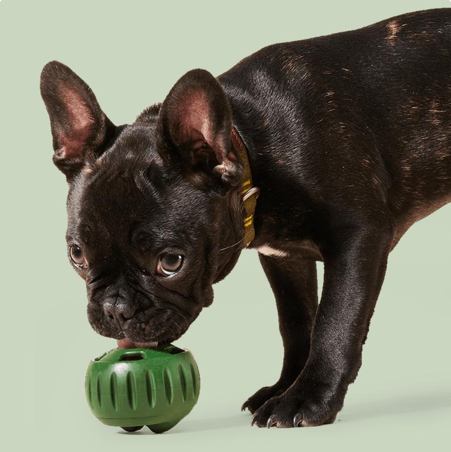 Woof Lavender Pupsicle Toy
