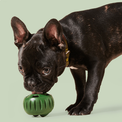 Woof Lavender Pupsicle Toy