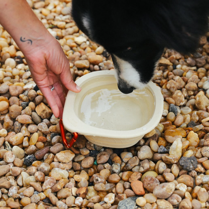 Zee.Dog GoBowl - Biscotti