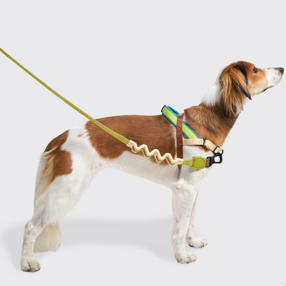 Zee.Dog Ruff Leash 2.0 Dog Lead - Avocado