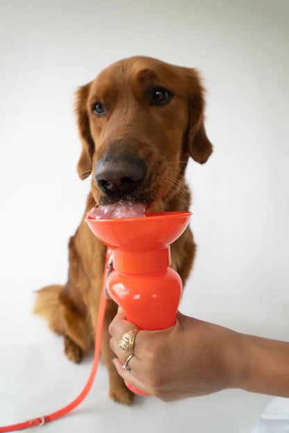 Springland Dog Water Travel Bottle - Regular