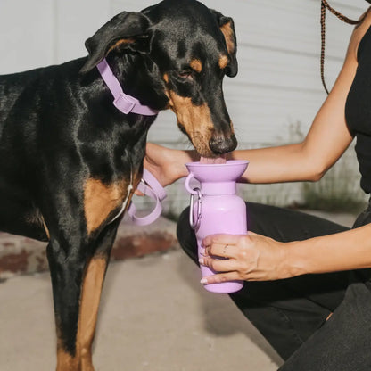 Springland Dog Water Travel Bottle - Regular