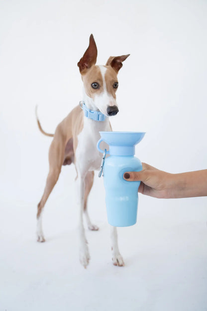 Springland Dog Water Travel Bottle - Regular