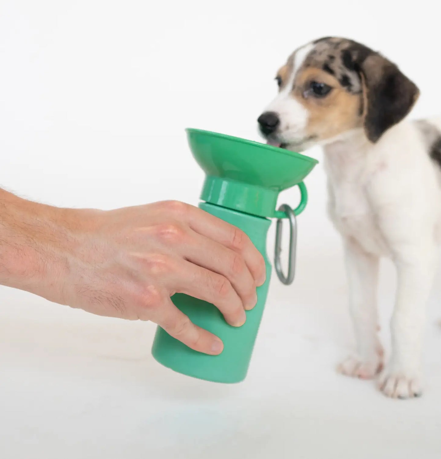 Springland Dog Water Travel Bottle - Mini