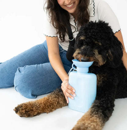Springland Dog Water Travel Bottle - Large